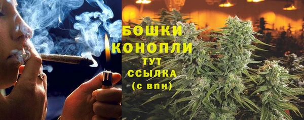 ECSTASY Каменногорск